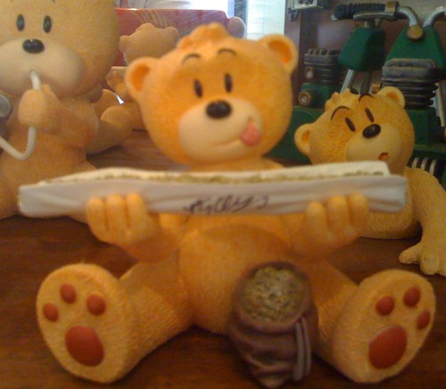Bear photo
