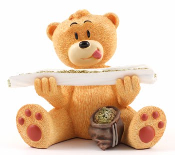 Bear photo