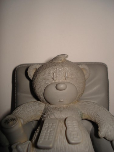 Bear photo