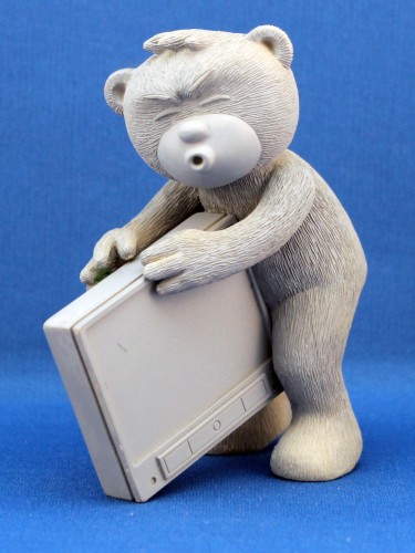 Bear photo