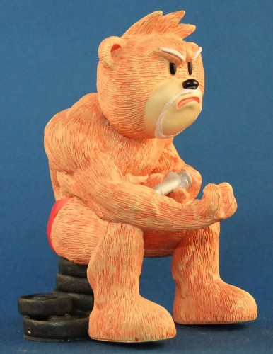 Bear photo