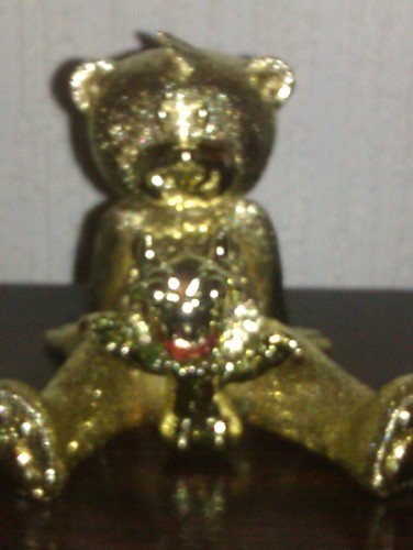 Bear photo