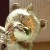 Basil (Gold)
