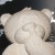 Pete (Superbear Whiteware)