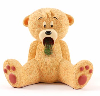 Bear photo