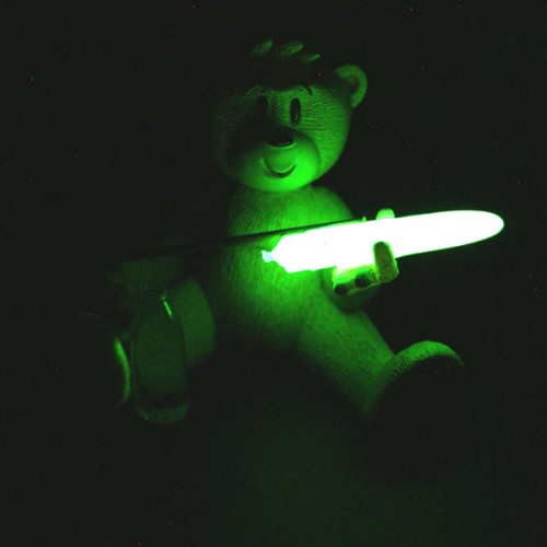 Bear photo
