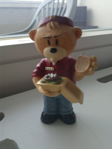 Bear photo