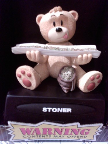 Bear photo