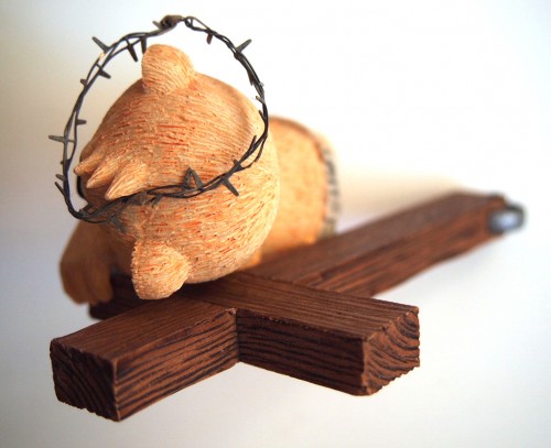 Bear photo