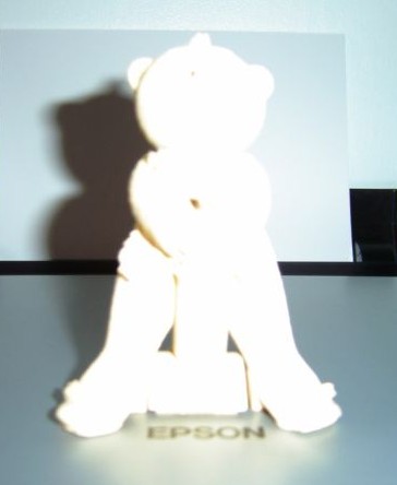 Bear photo