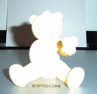 Bear photo