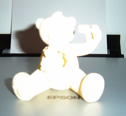 Bear photo