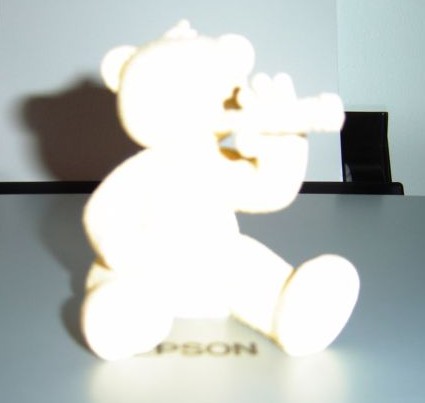 Bear photo