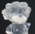 Venus (Ice)
