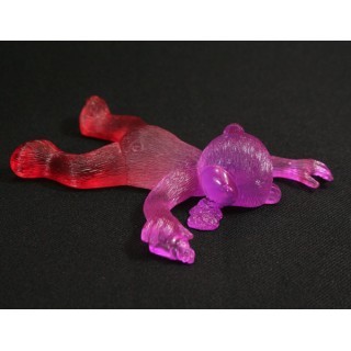 Bear photo