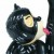 Selina