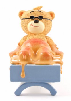 Bear photo