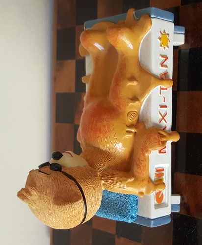 Bear photo
