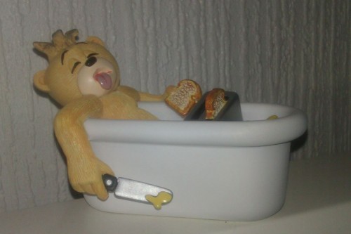 Bear photo