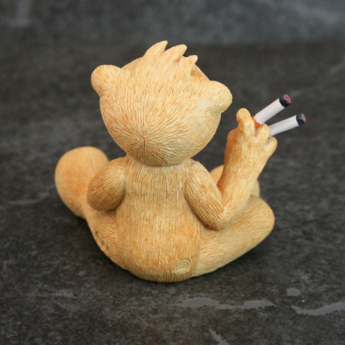 Bear photo