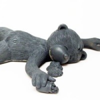 Bear photo