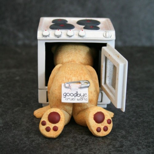 Bear photo