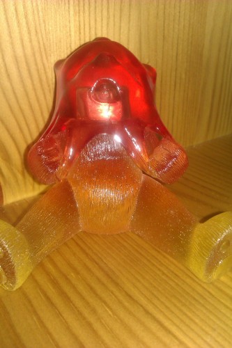 Bear photo