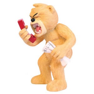 Bear photo