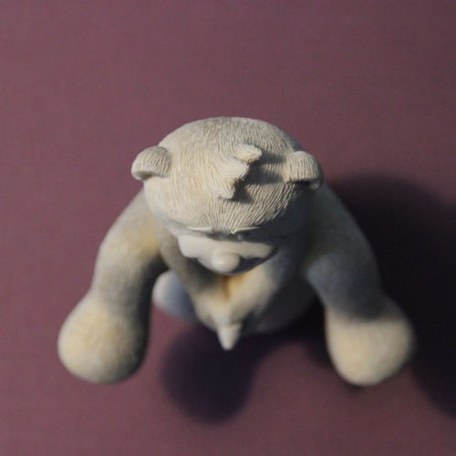 Bear photo
