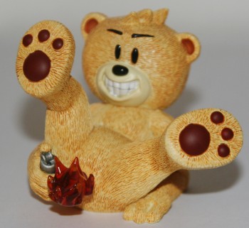 Bear photo