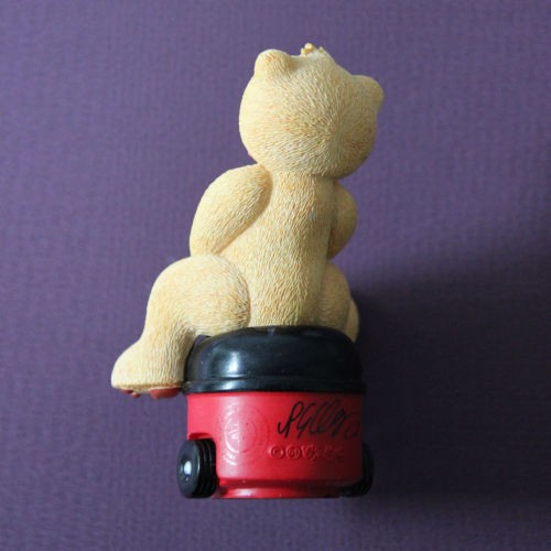Bear photo