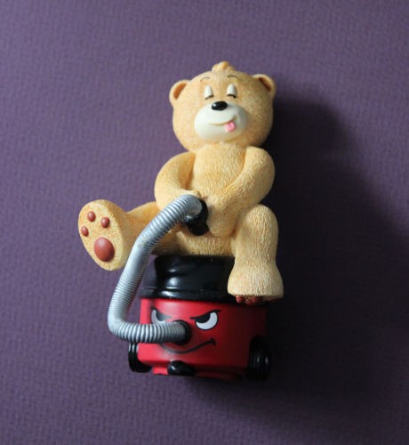 Bear photo