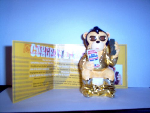 Bear photo