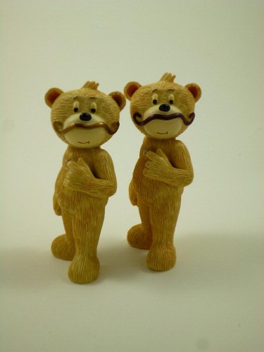 Bear photo