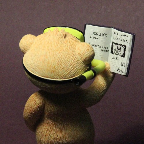 Bear photo