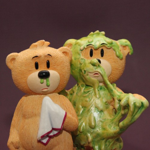 Bear photo