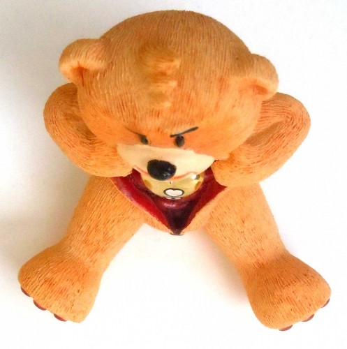 Bear photo