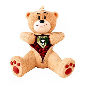 Bear photo