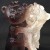I Love Zombies (Black Death)