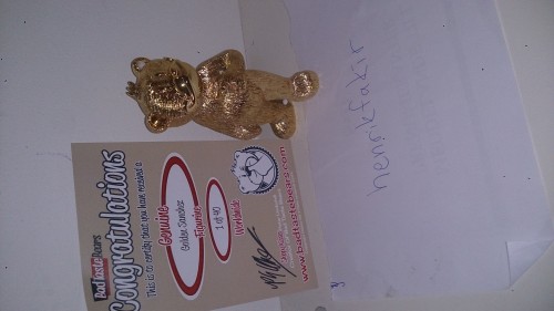 Bear photo