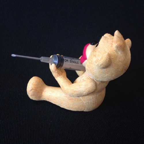 Bear photo