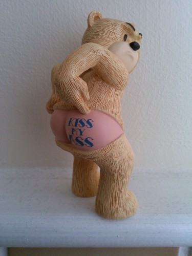 Bear photo