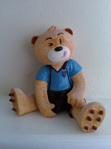Bear photo