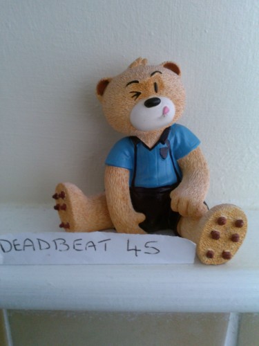 Bear photo