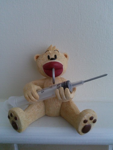 Bear photo