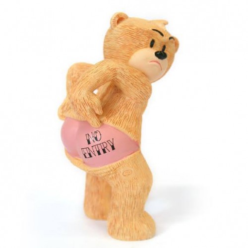 Bear photo