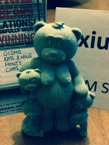 Bear photo