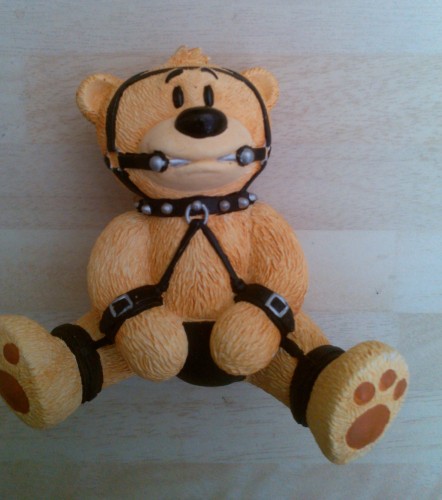 Bear photo
