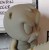 Nick (Grey - Mini Mayhem)