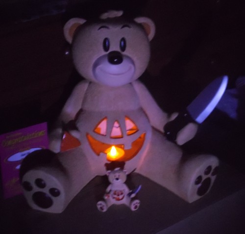 Bear photo